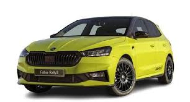 Skoda Fabia Rally2 Price in Iran