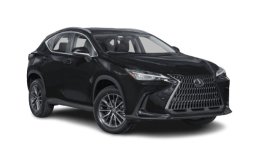 Lexus NX 250 Premium 2025